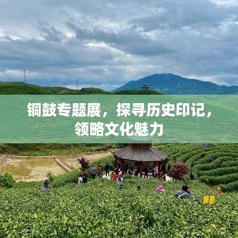 铜鼓专题展,探寻历史印记,领略文化魅力