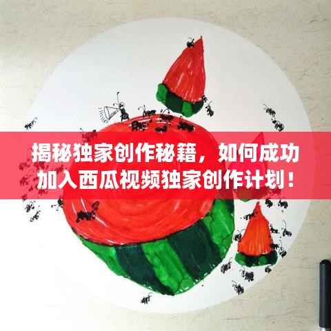 揭秘独家创作秘籍,如何成功加入西瓜视频独家创作计划!