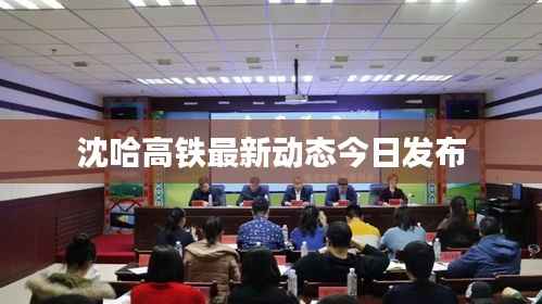 沈哈高铁最新动态今日发布