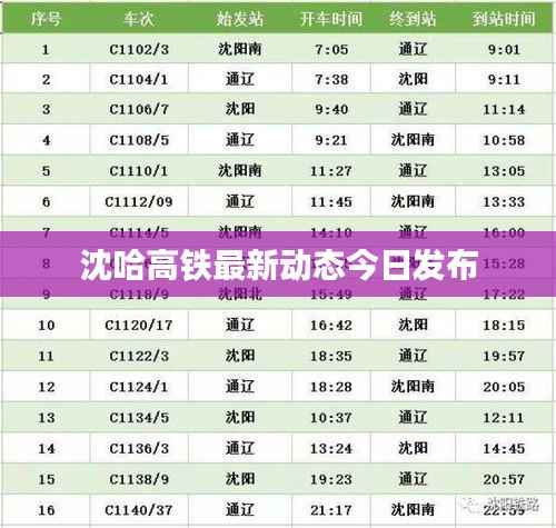 沈哈高铁最新动态今日发布