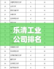 乐清工业公司排名及影响力揭秘,引领产业潮流,独占鳌头!