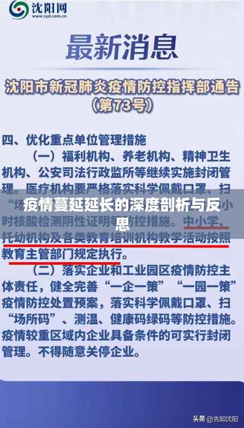 疫情蔓延延长的深度剖析与反思