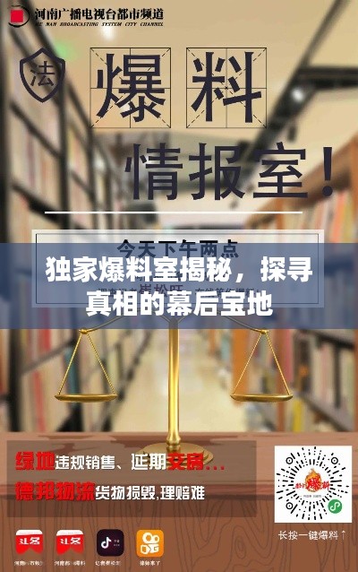 独家爆料室揭秘,探寻真相的幕后宝地