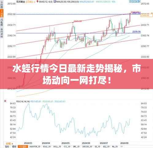 水蛭行情今日最新走势揭秘,市场动向一网打尽!
