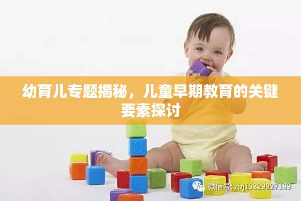 幼育儿专题揭秘,儿童早期教育的关键要素探讨