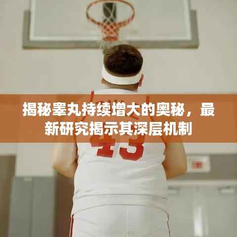 揭秘睾丸持续增大的奥秘，最新研究揭示其深层机制