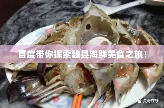 百度带你探索魏县海鲜美食之旅!