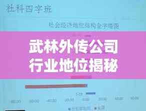武林外传公司行业地位揭秘，谁领风骚，排名翘楚？