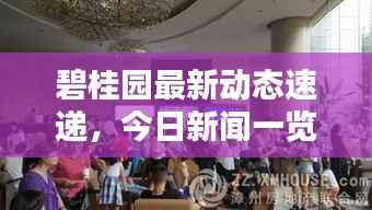 碧桂园最新动态速递，今日新闻一览