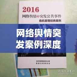 网络舆情突发案例深度解析，应对策略与挑战思考