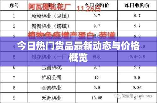 今日热门货品最新动态与价格概览