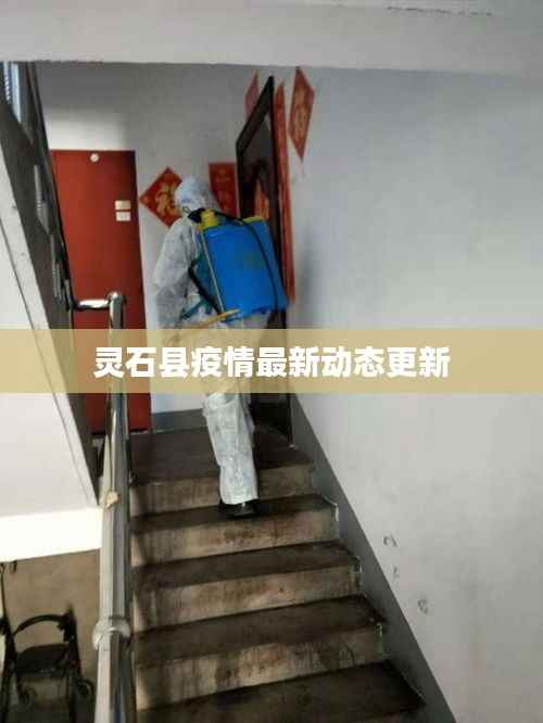 灵石县疫情最新动态更新