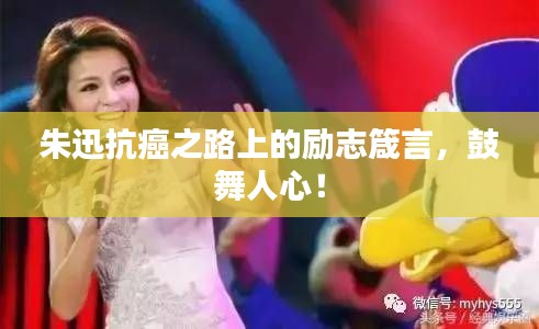 朱迅抗癌之路上的励志箴言,鼓舞人心!