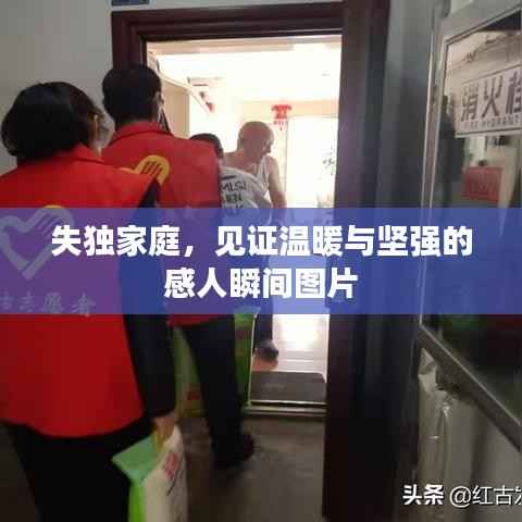 失独家庭,见证温暖与坚强的感人瞬间图片