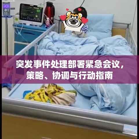 突发事件处理部署紧急会议，策略、协调与行动指南