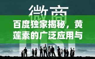 百度独家揭秘,黄莲素的广泛应用与最新探索