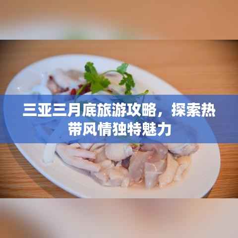 三亚三月底旅游攻略，探索热带风情独特魅力
