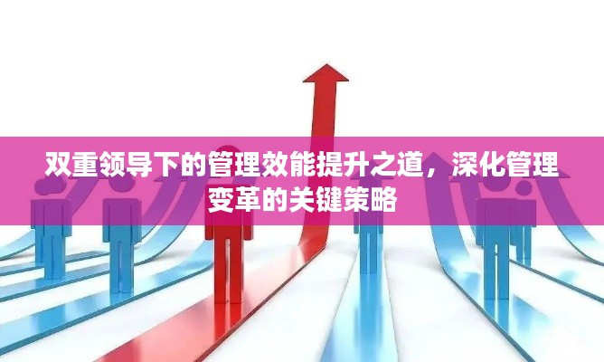 双重领导下的管理效能提升之道，深化管理变革的关键策略