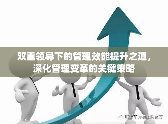 双重领导下的管理效能提升之道,深化管理变革的关键策略