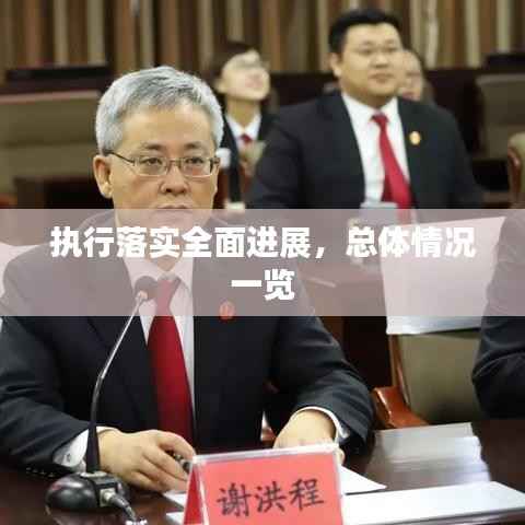 执行落实全面进展，总体情况一览