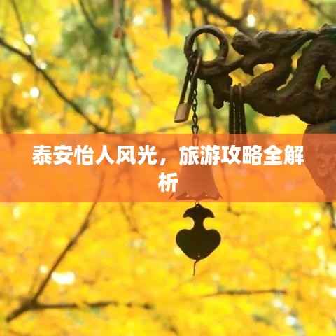 泰安怡人风光,旅游攻略全解析