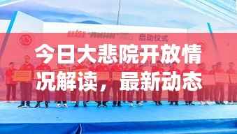 今日大悲院开放情况解读，最新动态，不容错过！