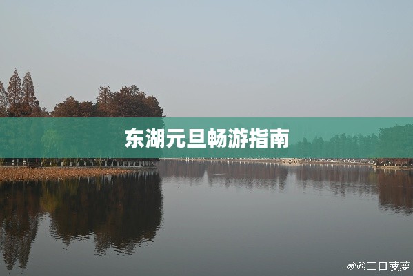 诚心诚意 第4页