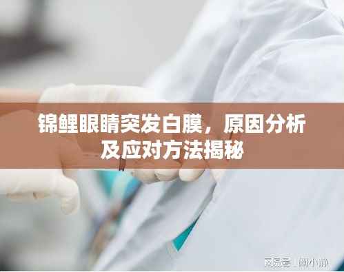 锦鲤眼睛突发白膜,原因分析及应对方法揭秘