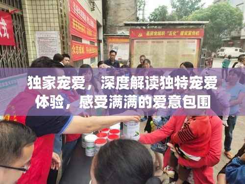 独家宠爱,深度解读独特宠爱体验,感受满满的爱意包围