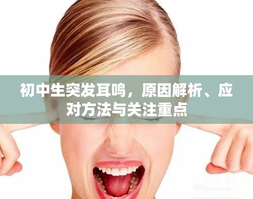 初中生突发耳鸣，原因解析、应对方法与关注重点