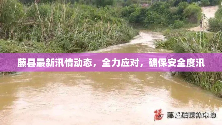 藤县最新汛情动态,全力应对,确保安全度汛