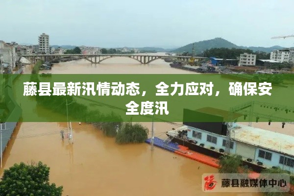 藤县最新汛情动态,全力应对,确保安全度汛