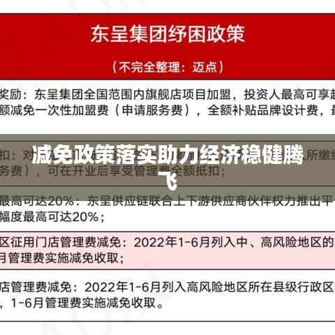 减免政策落实助力经济稳健腾飞