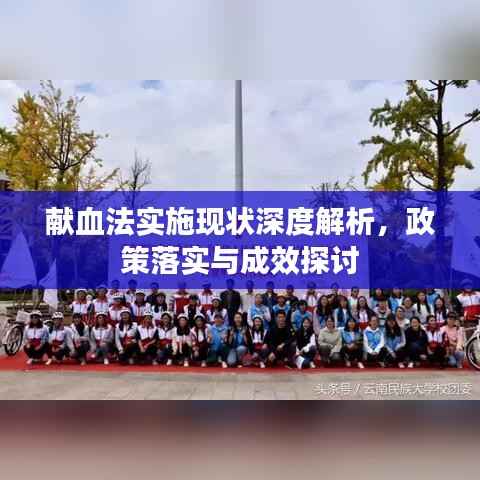 献血法实施现状深度解析,政策落实与成效探讨