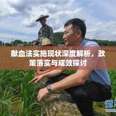 献血法实施现状深度解析,政策落实与成效探讨
