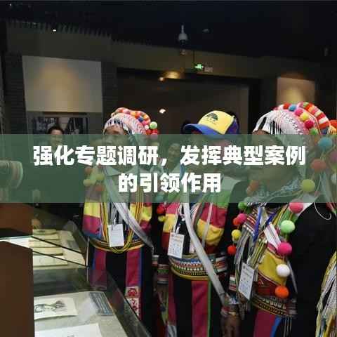 强化专题调研，发挥典型案例的引领作用