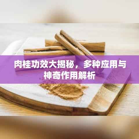 淡妆浓抹 第6页