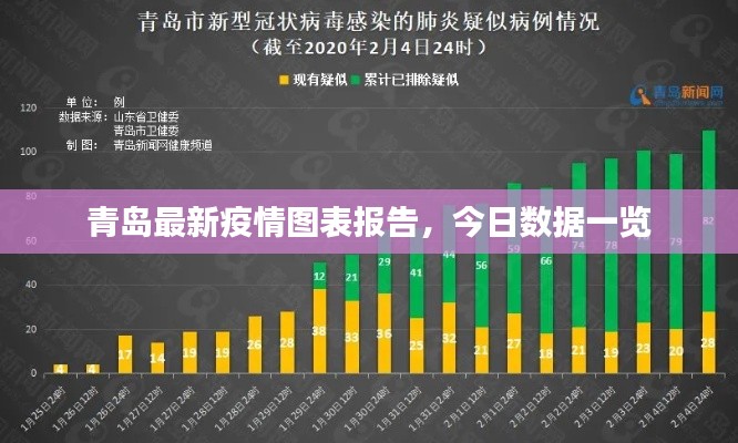 青岛最新疫情图表报告，今日数据一览