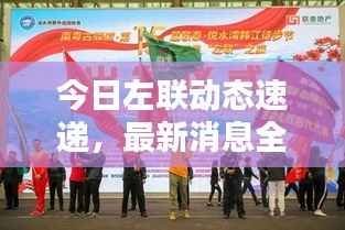 今日左联动态速递，最新消息全面解析