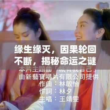 缘生缘灭,因果轮回不断,揭秘命运之谜!