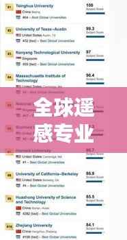 全球遥感专业高校排名大揭秘，影响力与学术实力一览