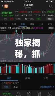 独家揭秘,抓牛股绝招与成功投资秘密武器,让你轻松掌握投资之道!