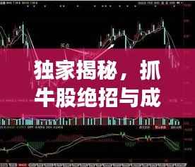 独家揭秘,抓牛股绝招与成功投资秘密武器,让你轻松掌握投资之道!