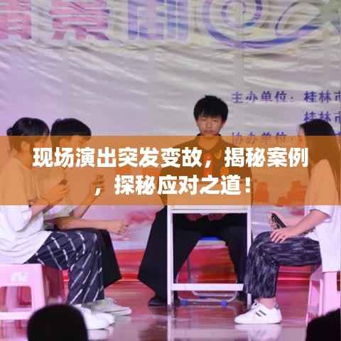 现场演出突发变故,揭秘案例,探秘应对之道!