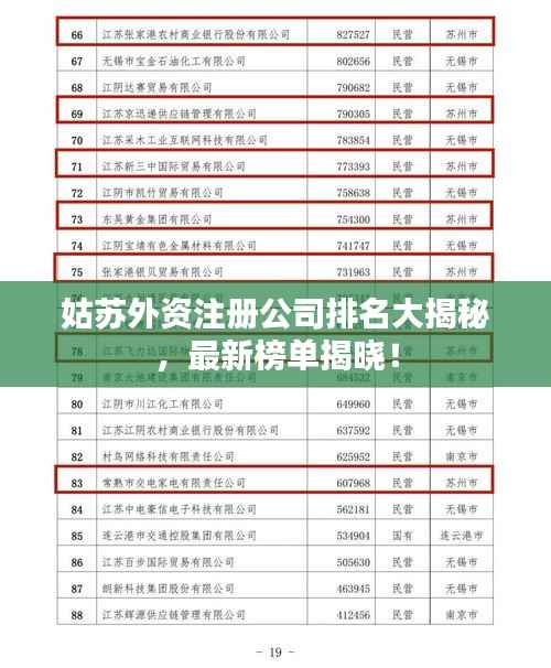 姑苏外资注册公司排名大揭秘，最新榜单揭晓！