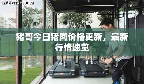 猪哥今日猪肉价格更新,最新行情速览