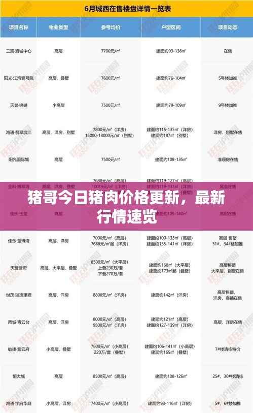 猪哥今日猪肉价格更新,最新行情速览