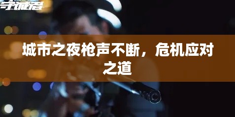 城市之夜枪声不断，危机应对之道