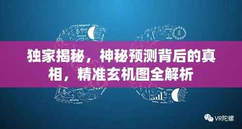 独家揭秘，神秘预测背后的真相，精准玄机图全解析