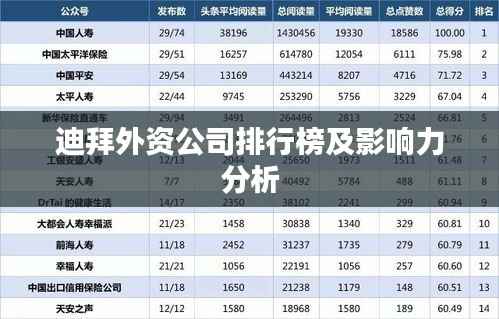 迪拜外资公司排行榜及影响力分析